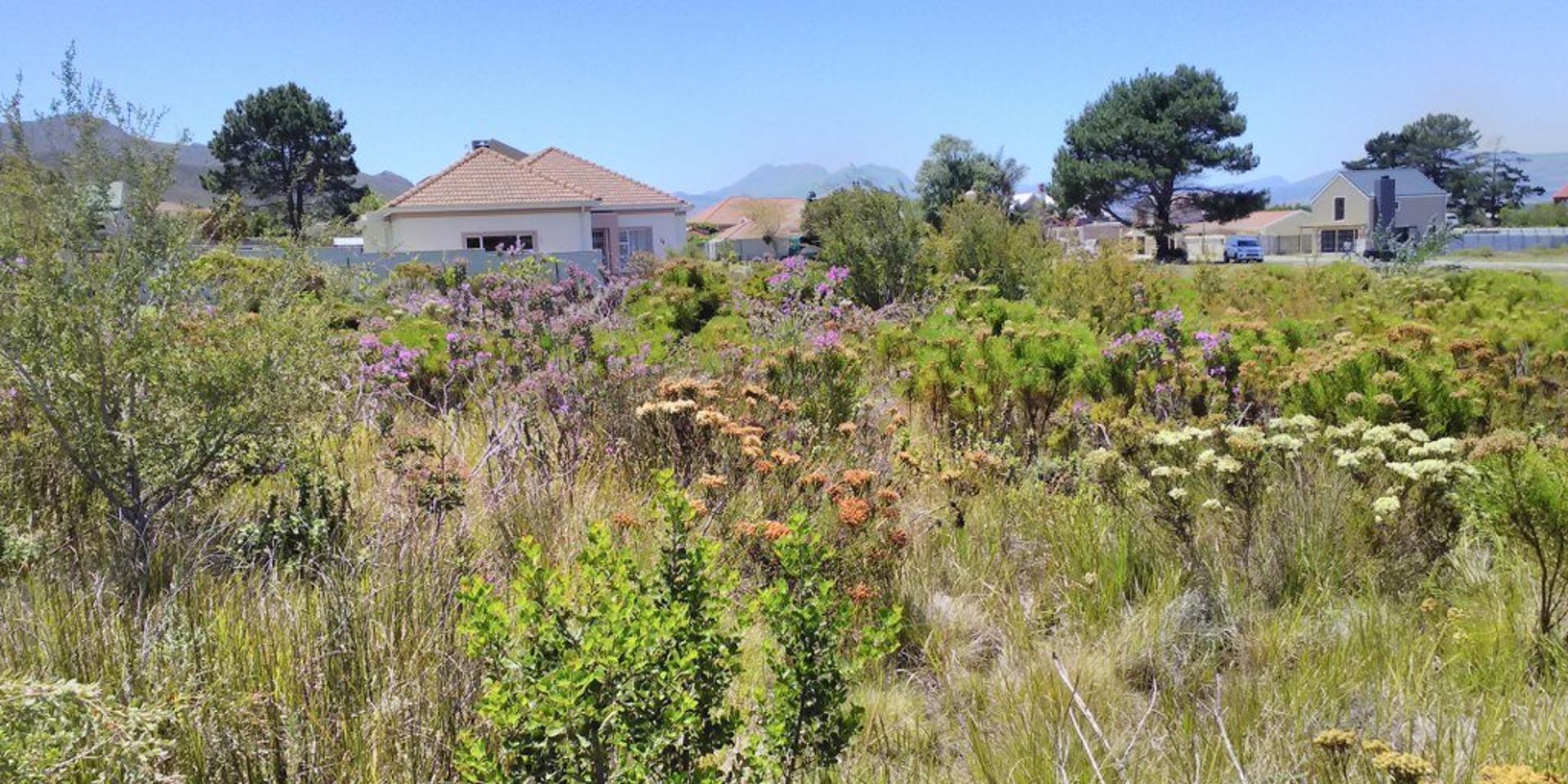 Image 4 of 6