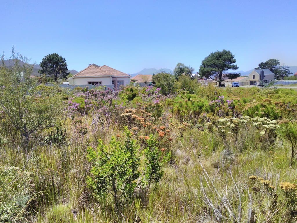 Image 4 of 6