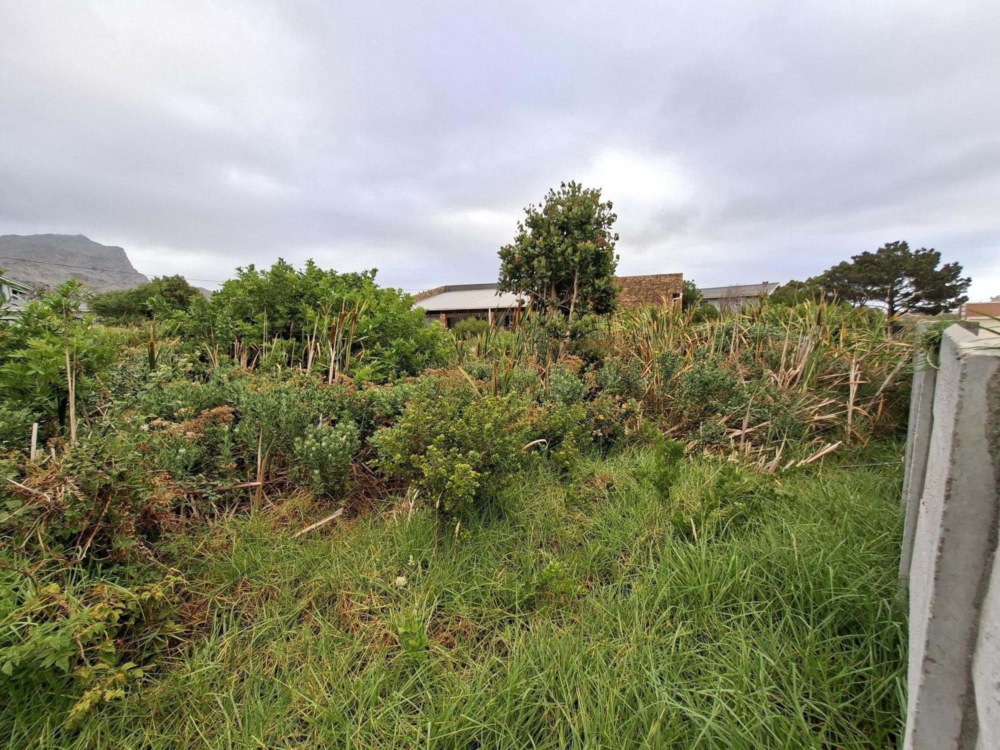 Image 32