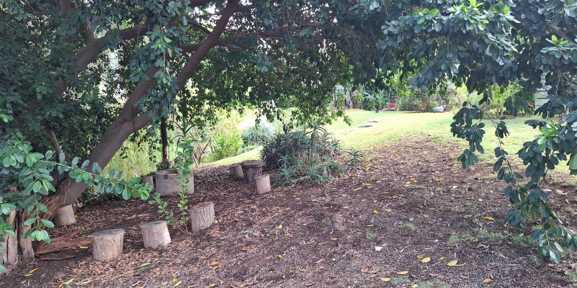 Image 4 of 6