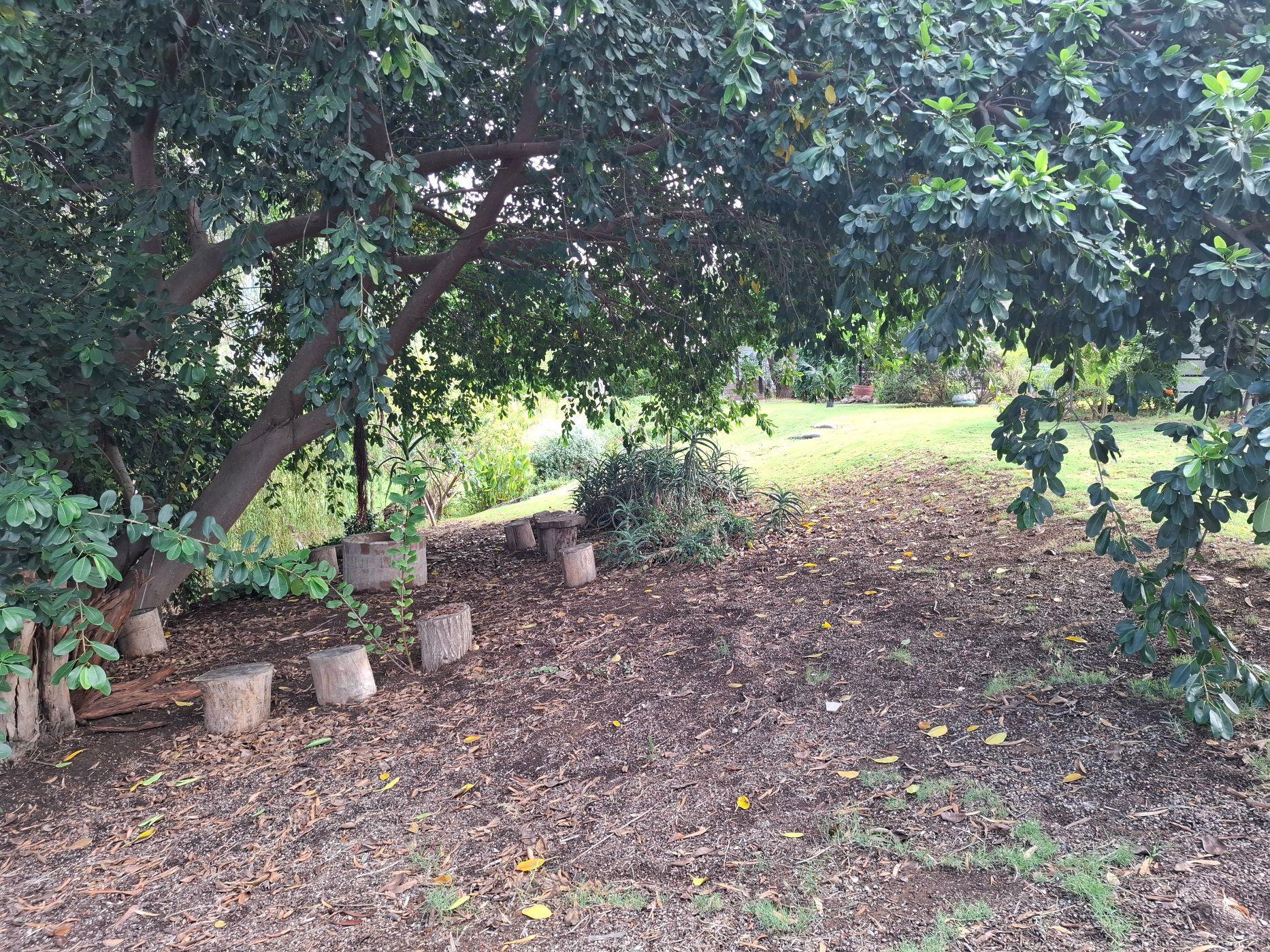 Image 4 of 6