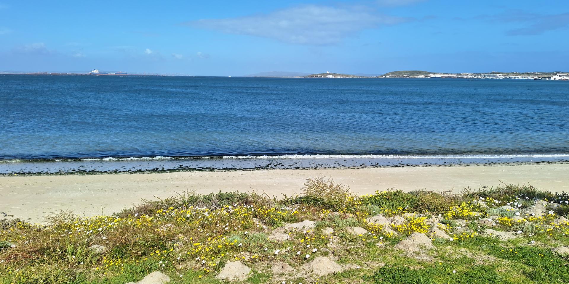 Image 5 of 6