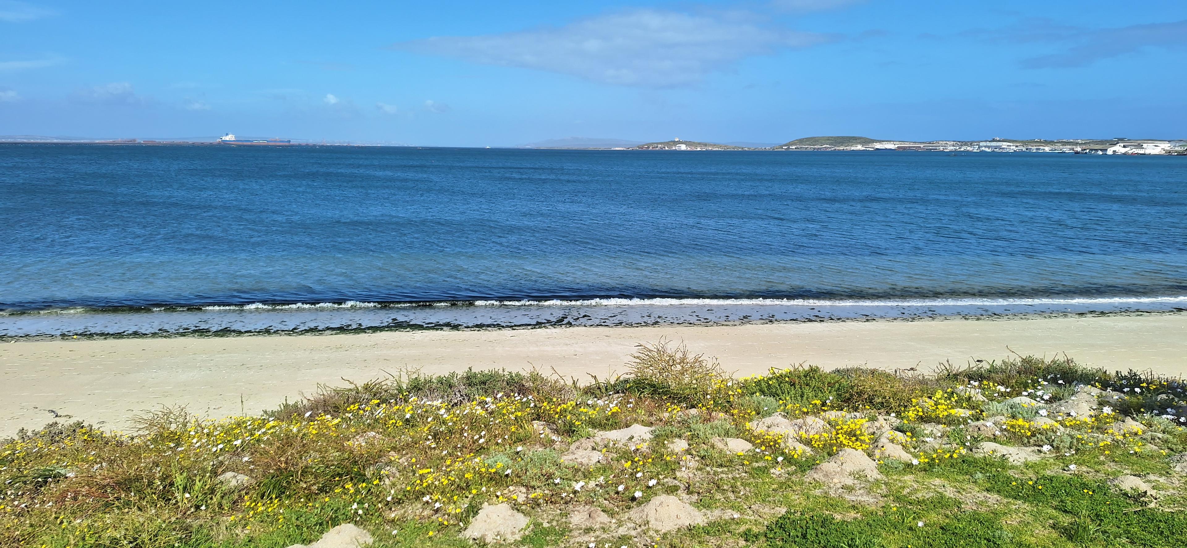 Image 5 of 6