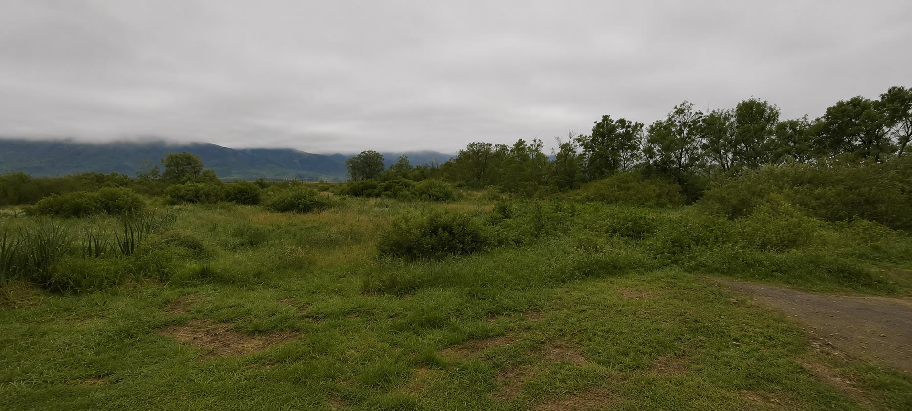 Image 42