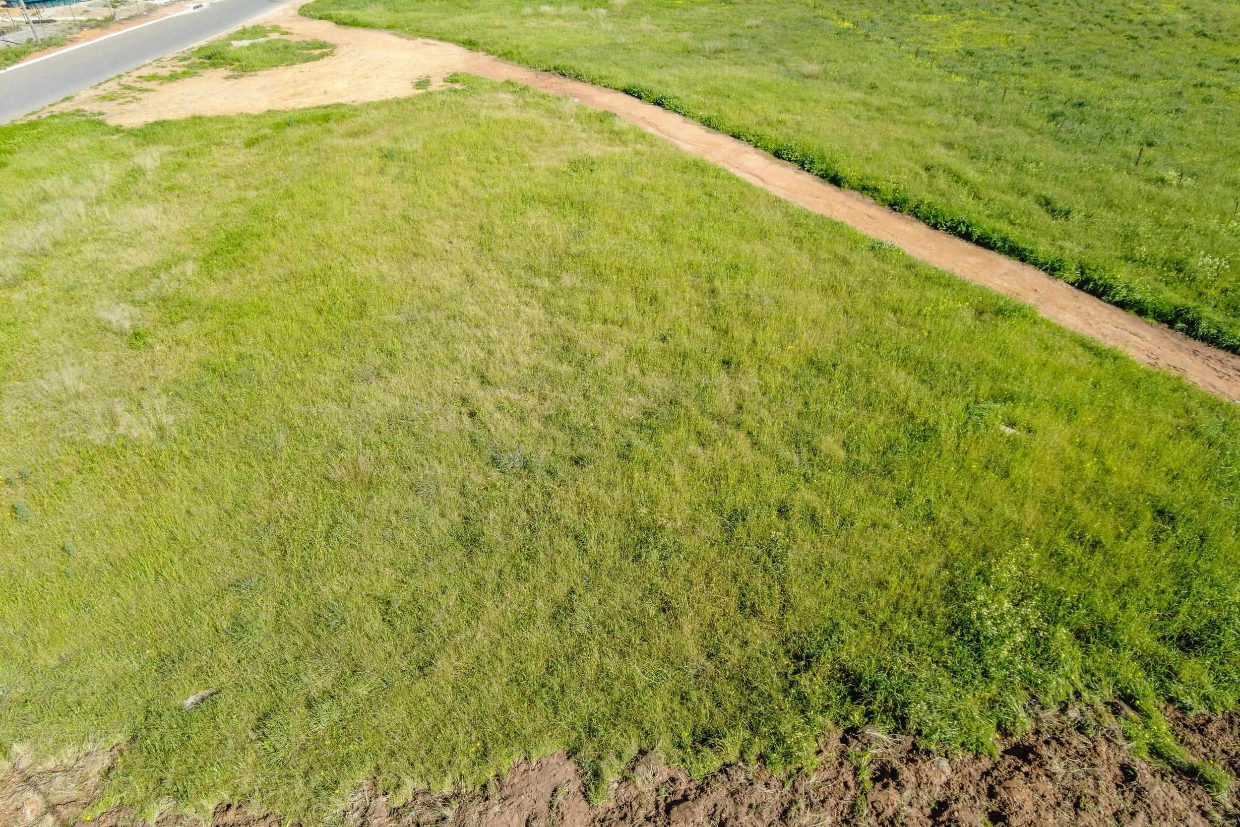 Image 4 of 6