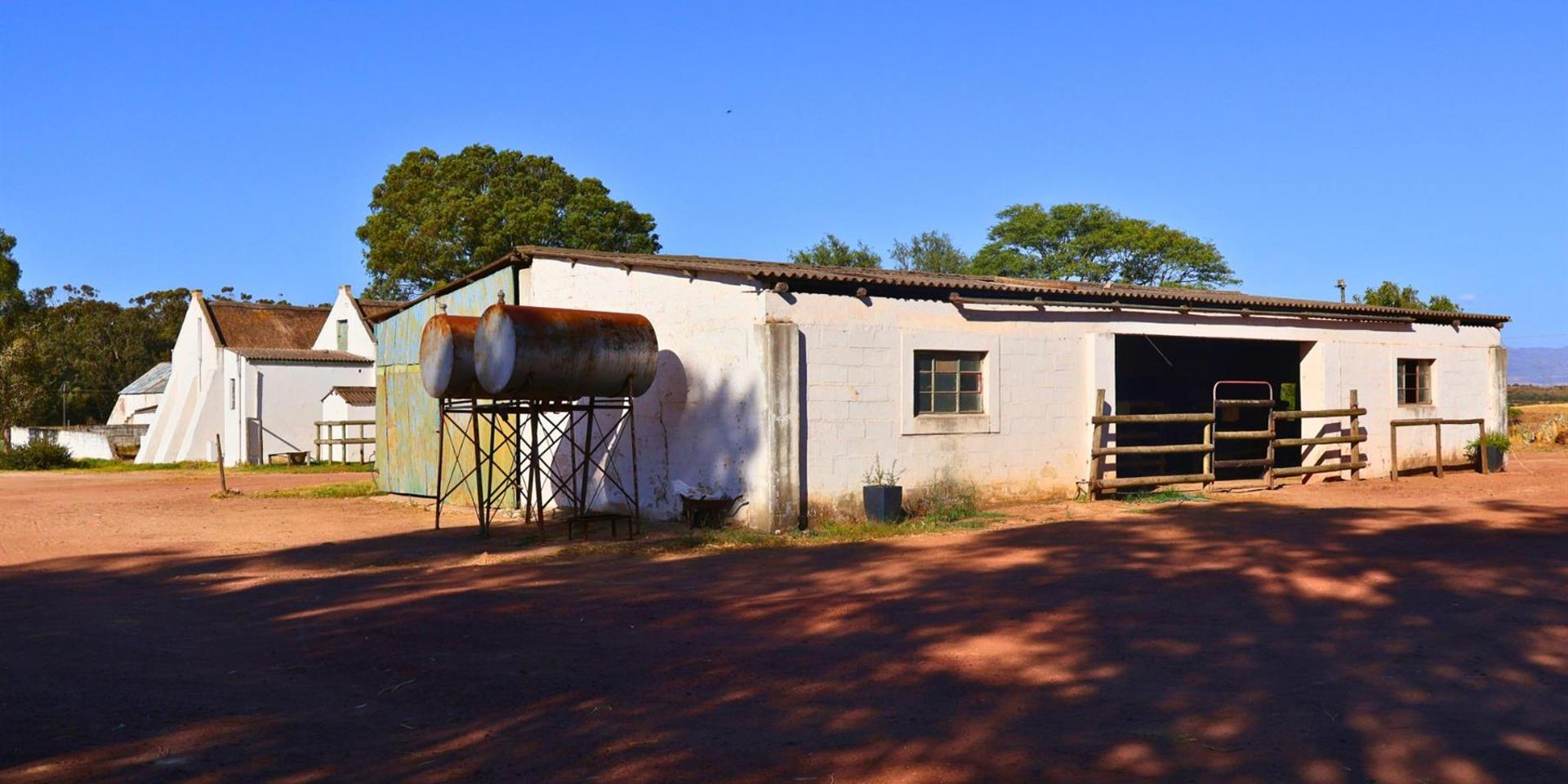 Image 4 of 6