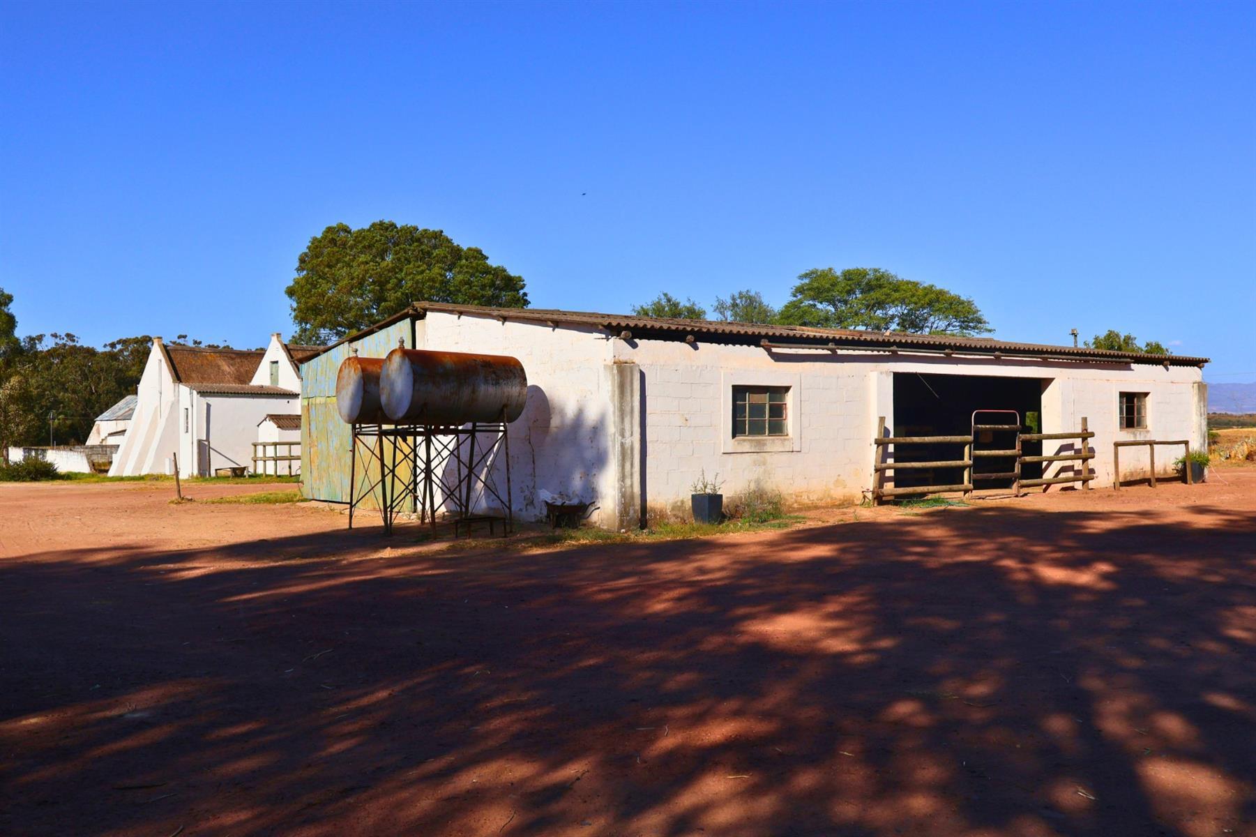 Image 4 of 6