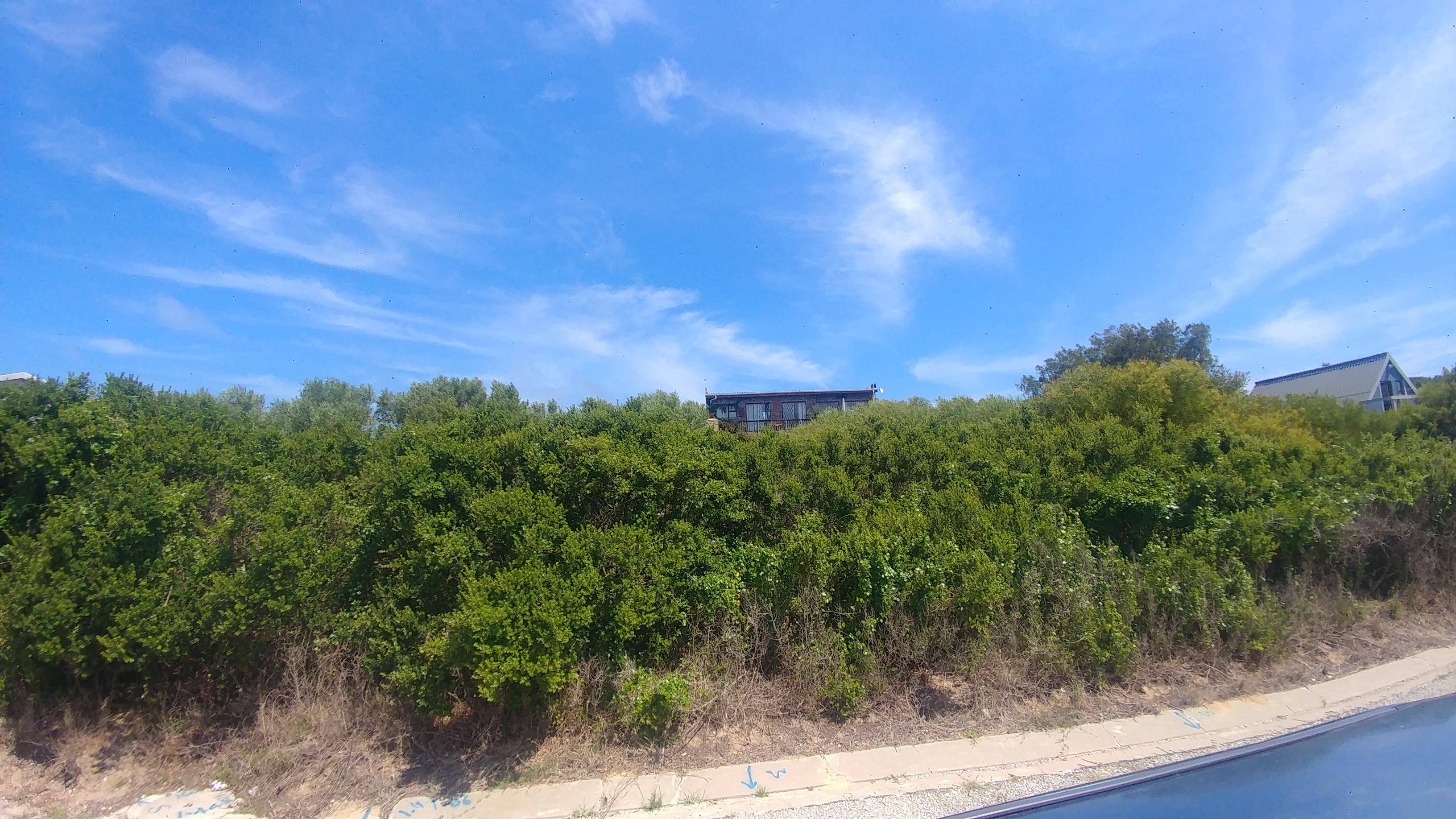 Image 3 of 6