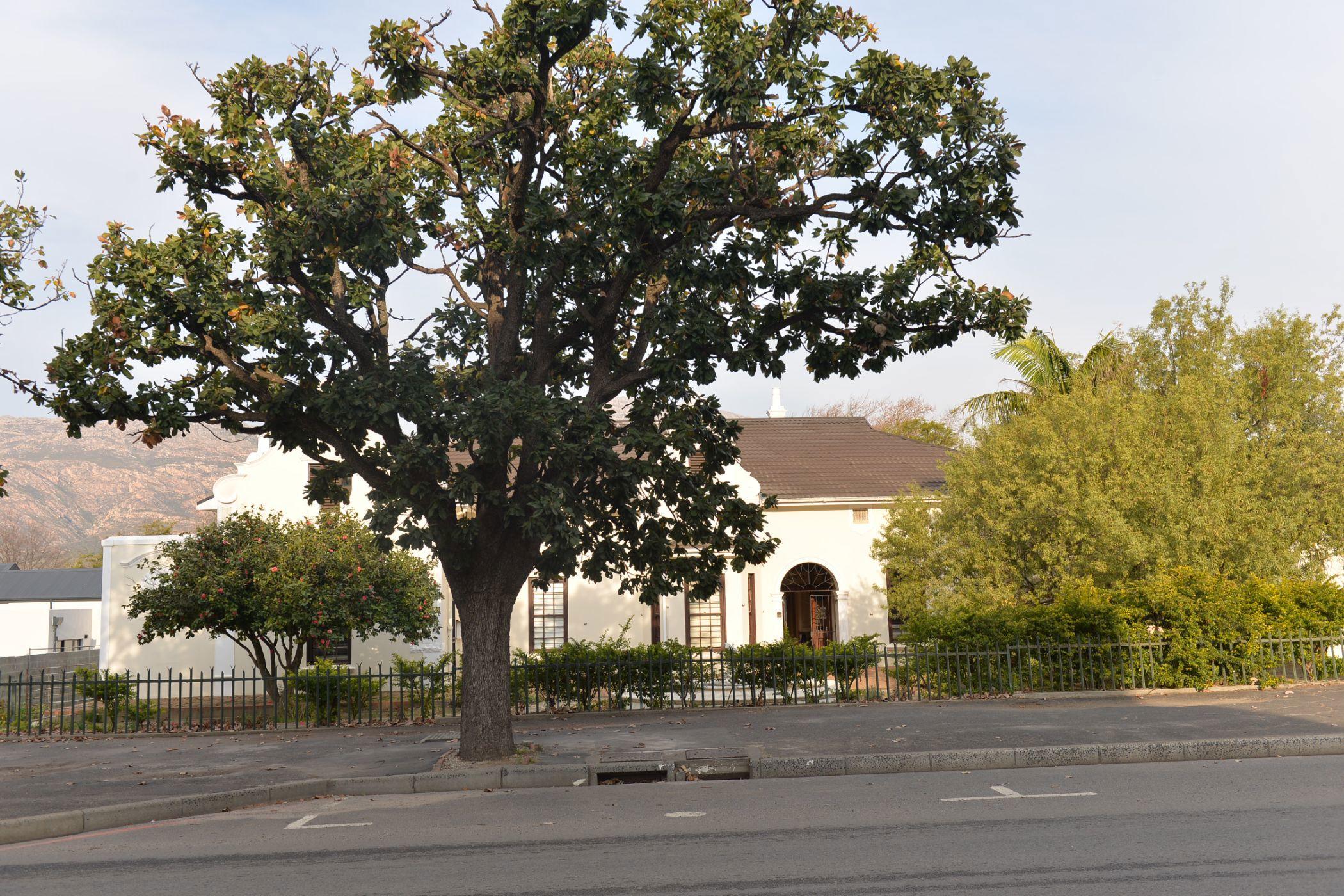 Image 4 of 6
