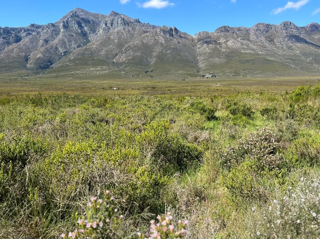 Image 5 of 6