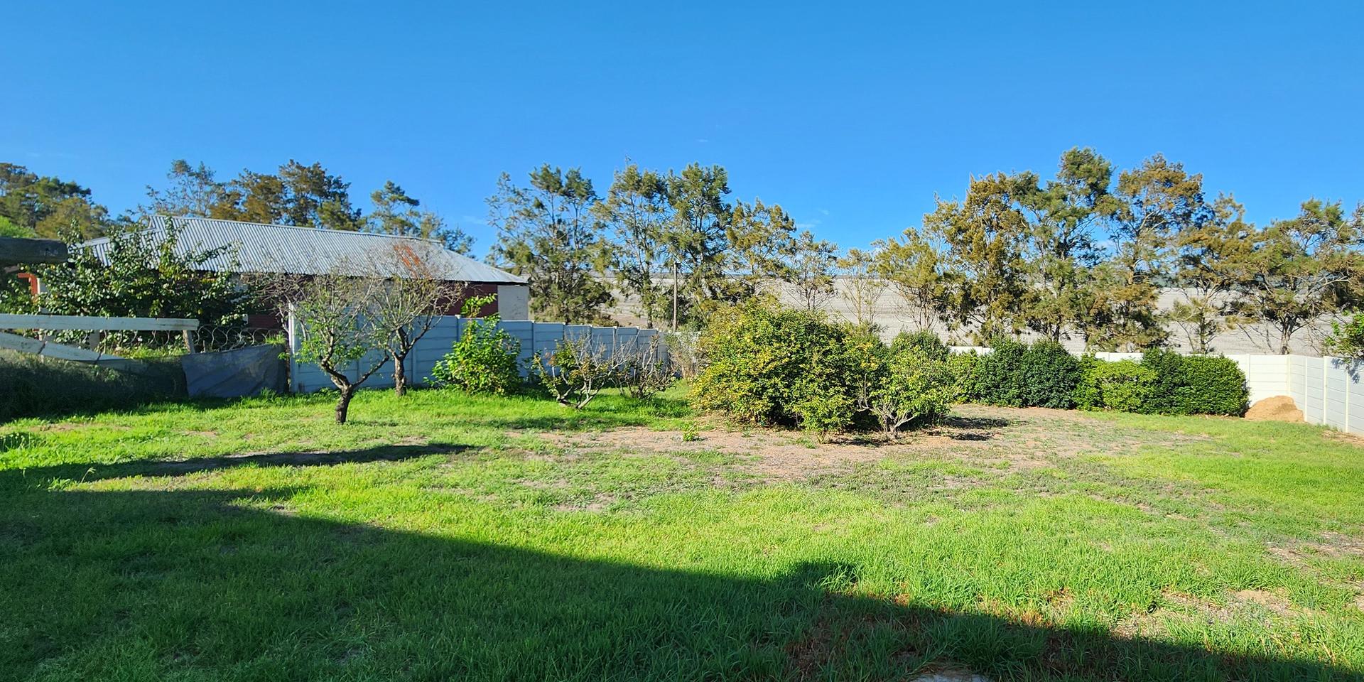 Image 5 of 6