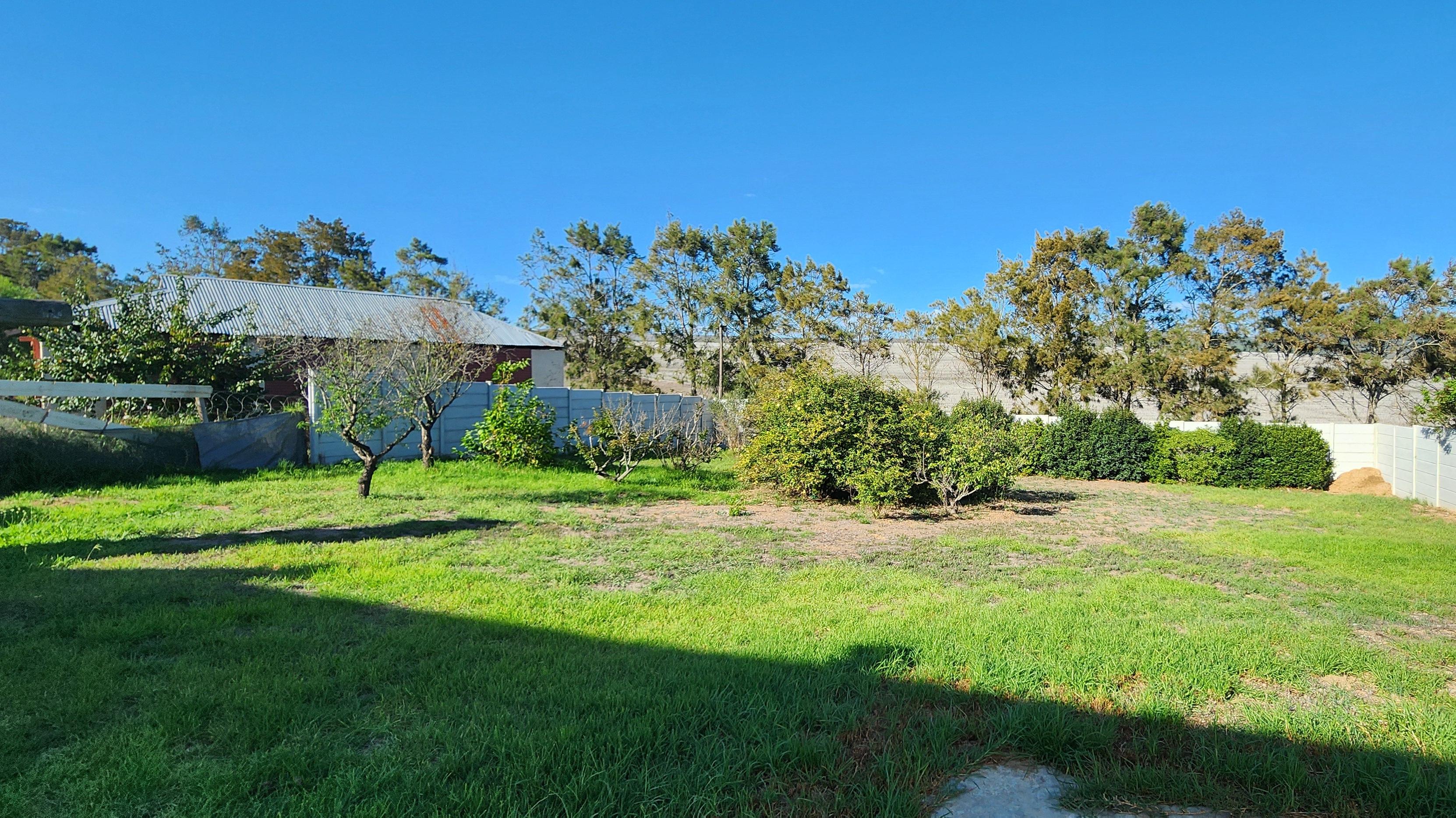 Image 5 of 6