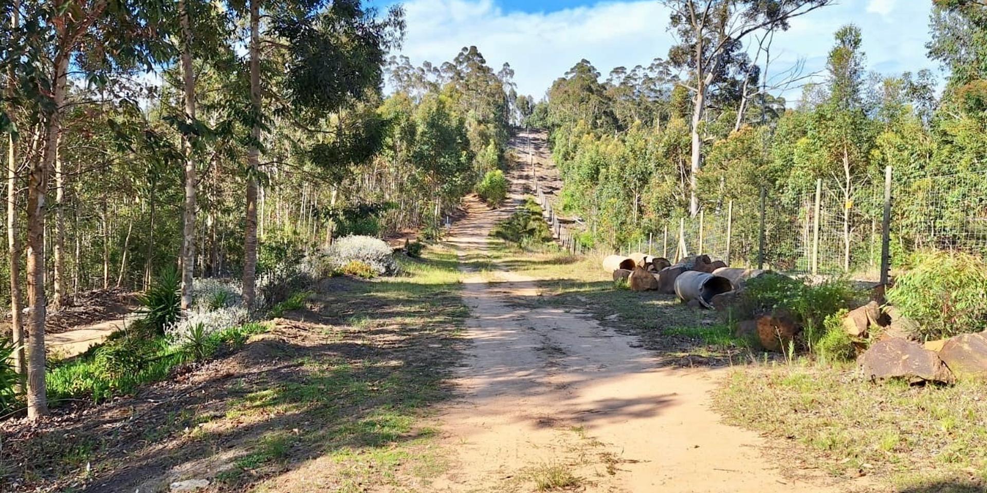 Image 4 of 6