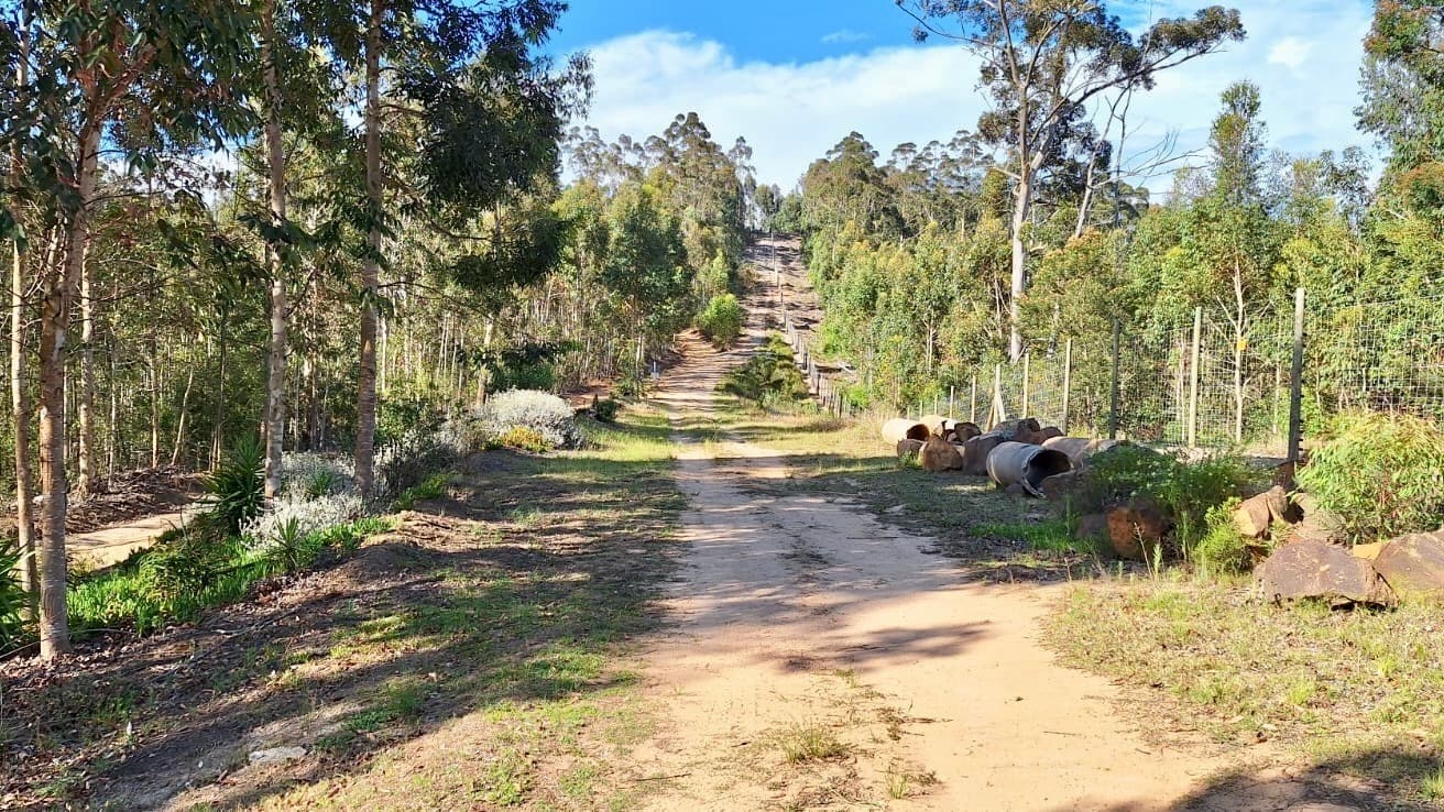 Image 4 of 6