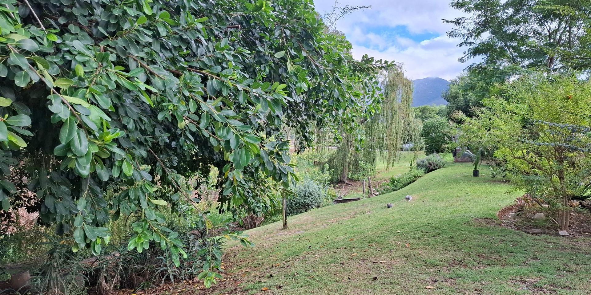 Image 5 of 6