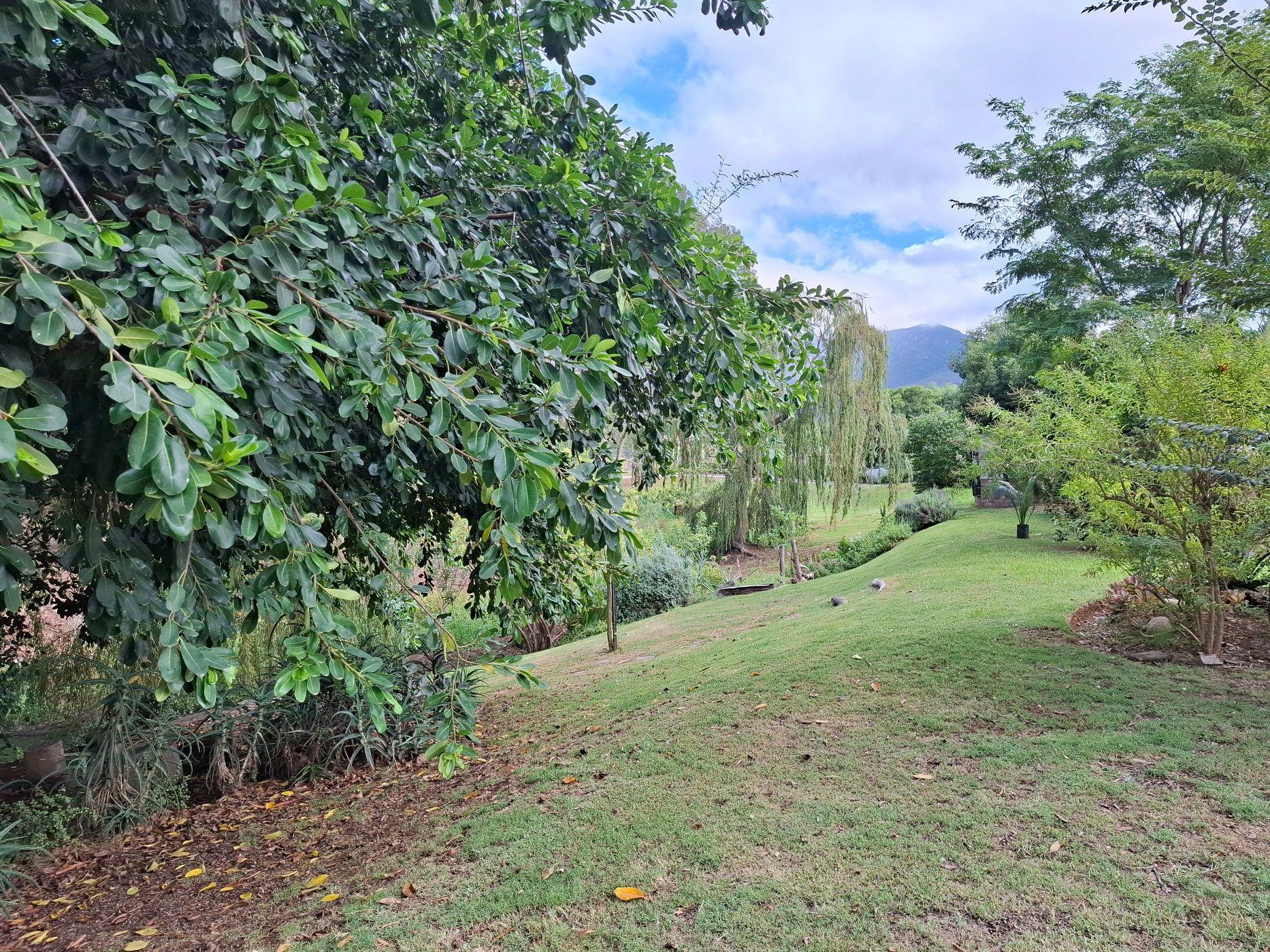 Image 5 of 6