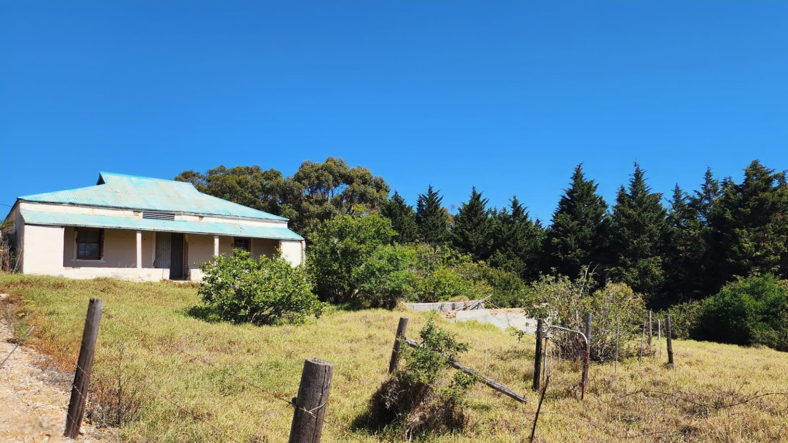Image 6