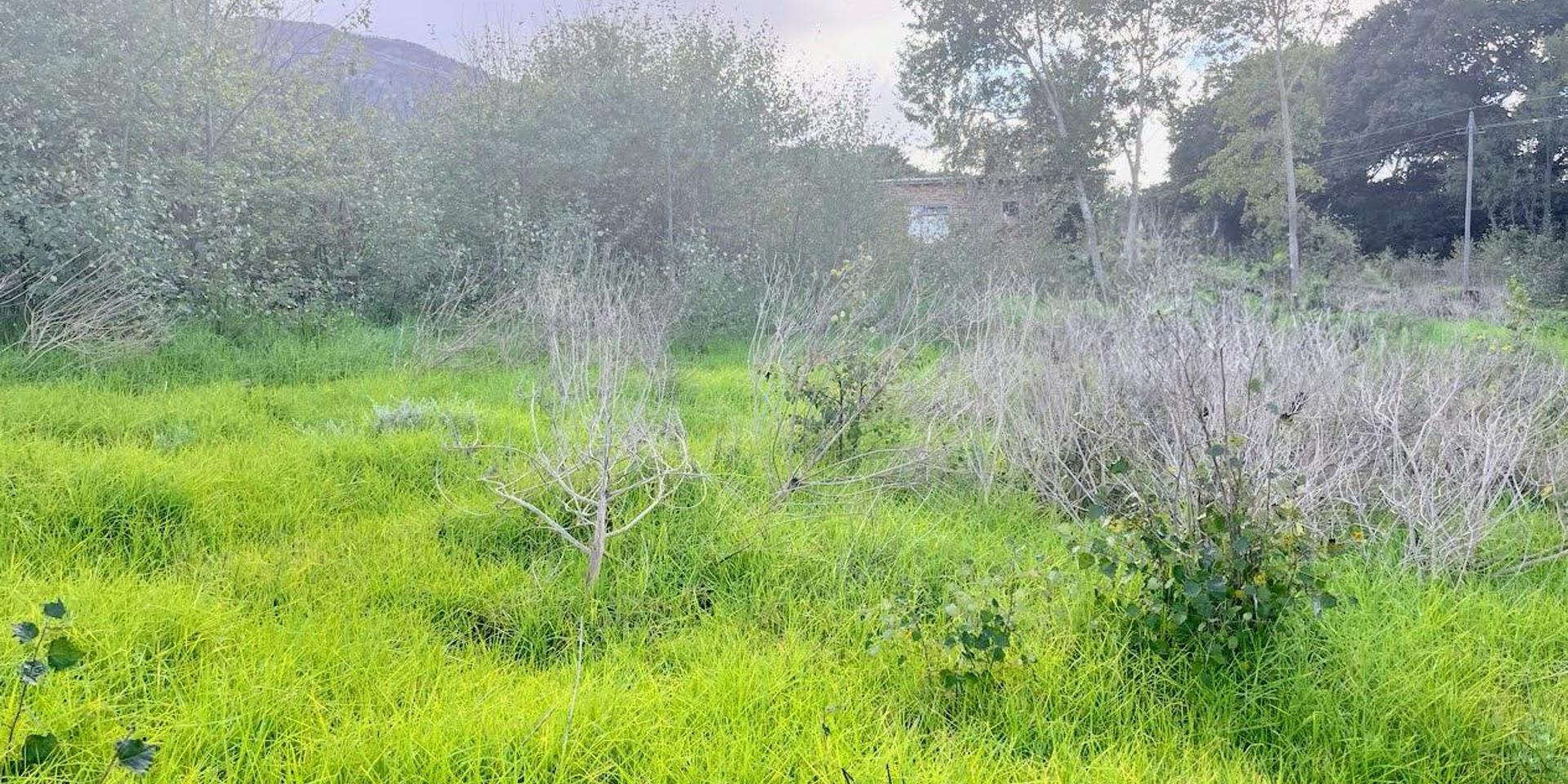 Image 3 of 6