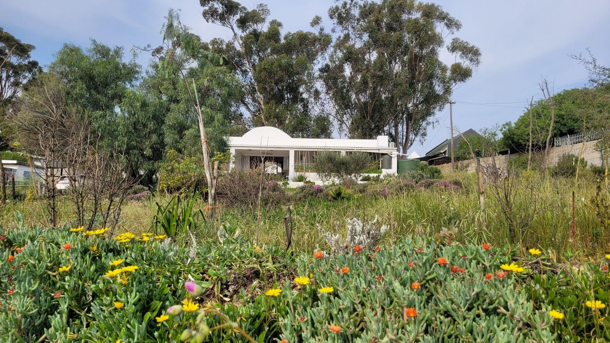 Image 5 of 6