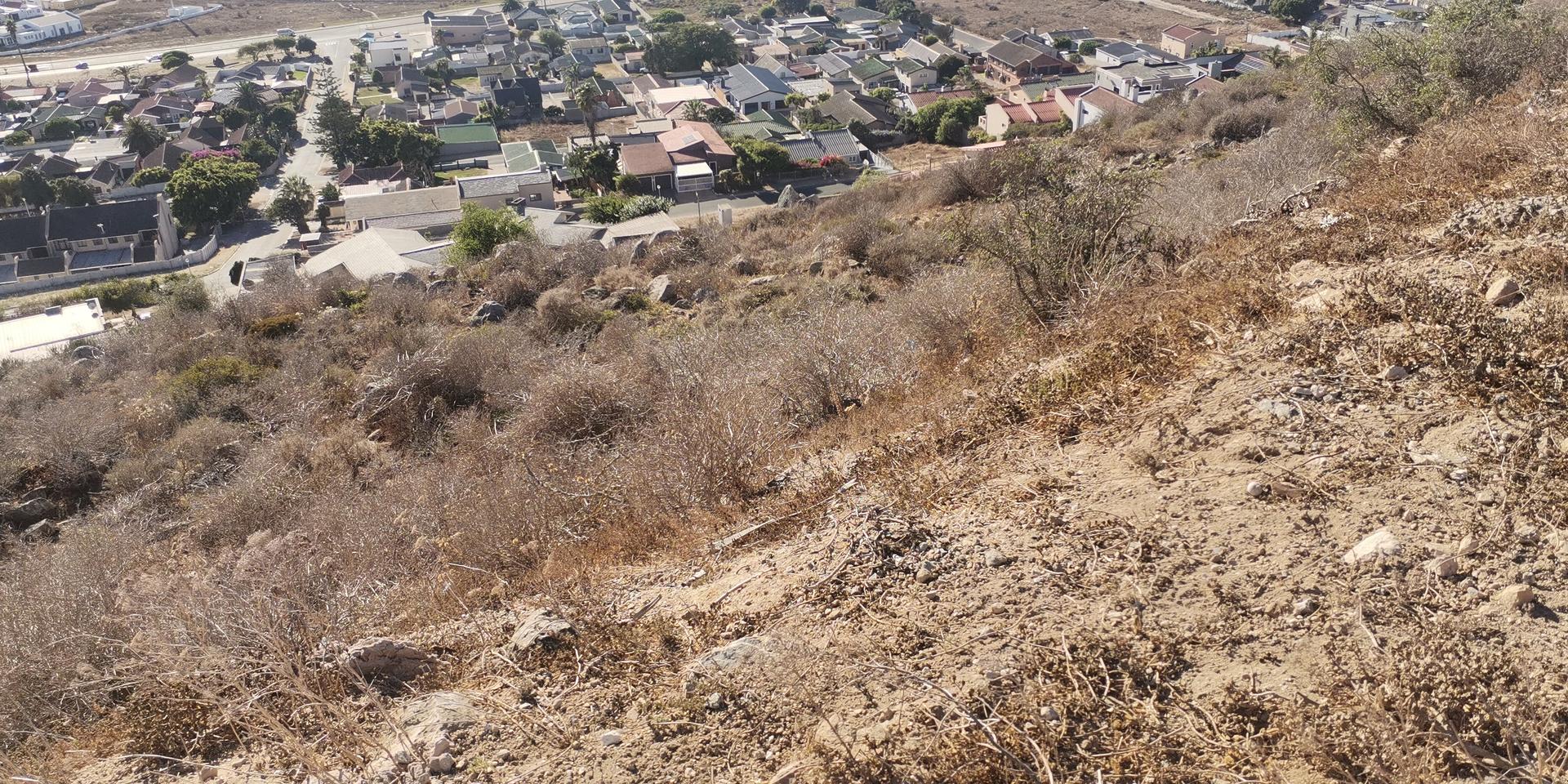 Image 3 of 6