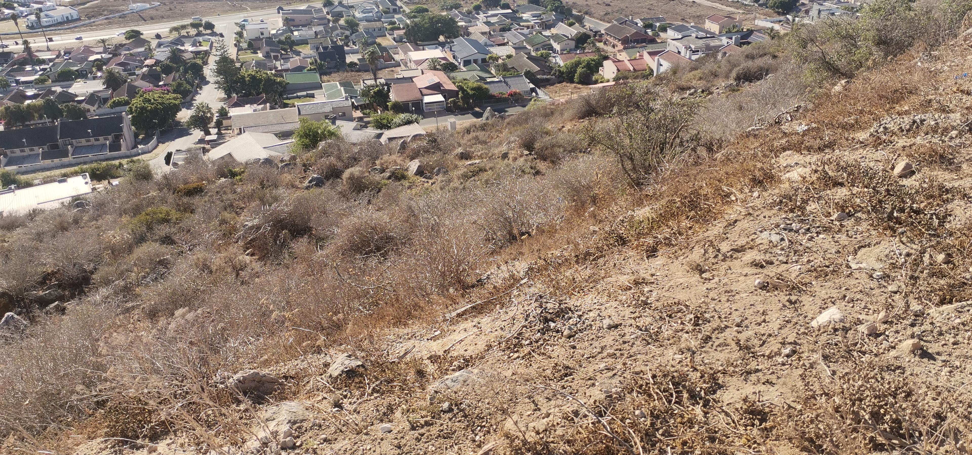 Image 3 of 6