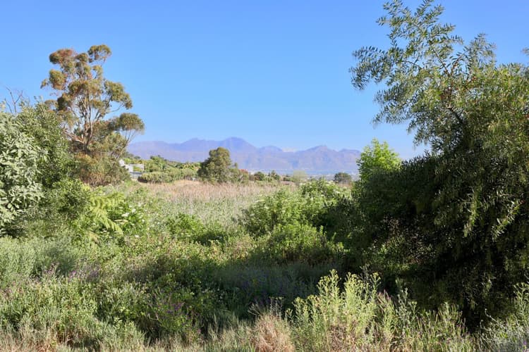 Main property image