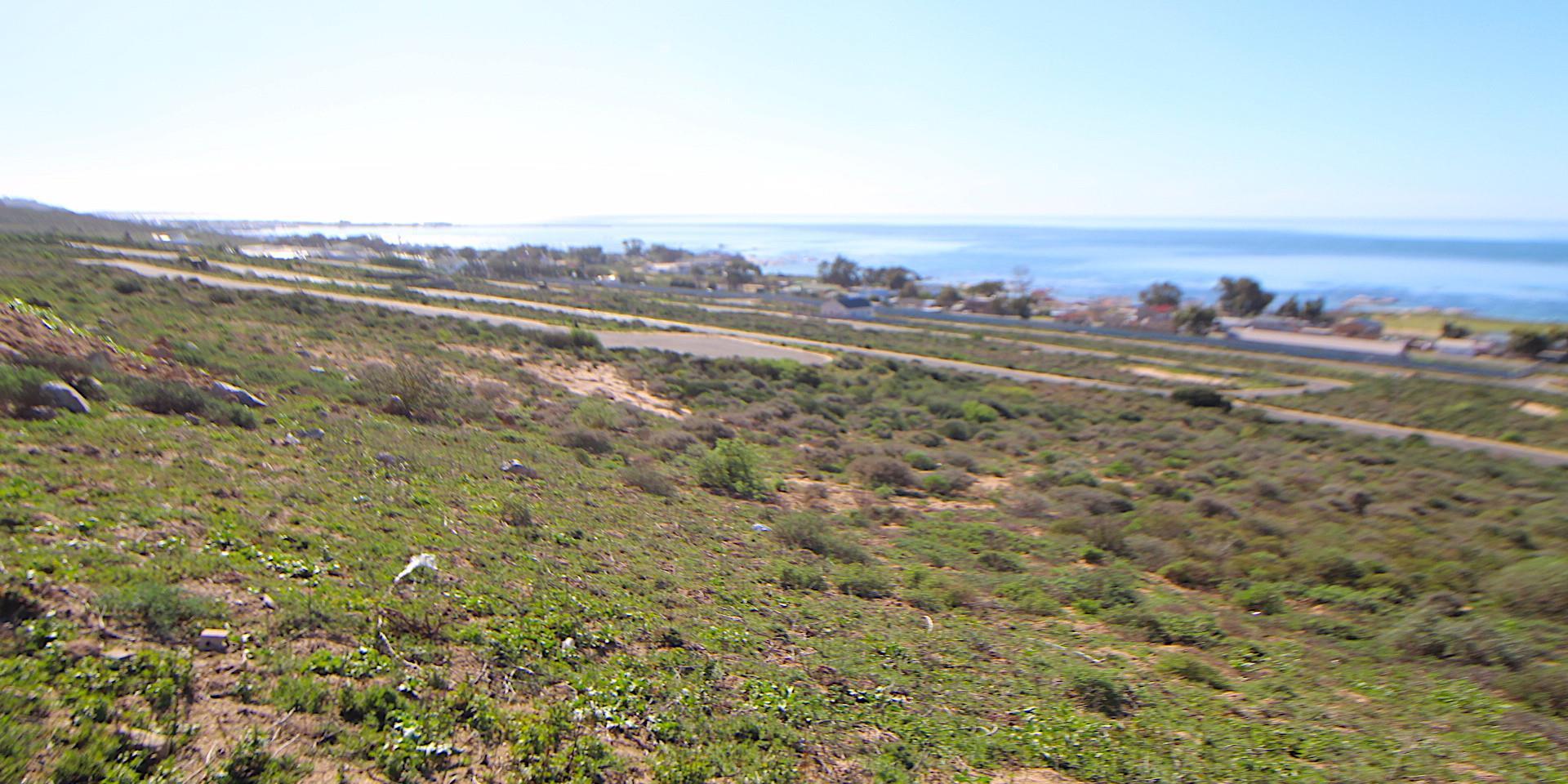 Image 5 of 6