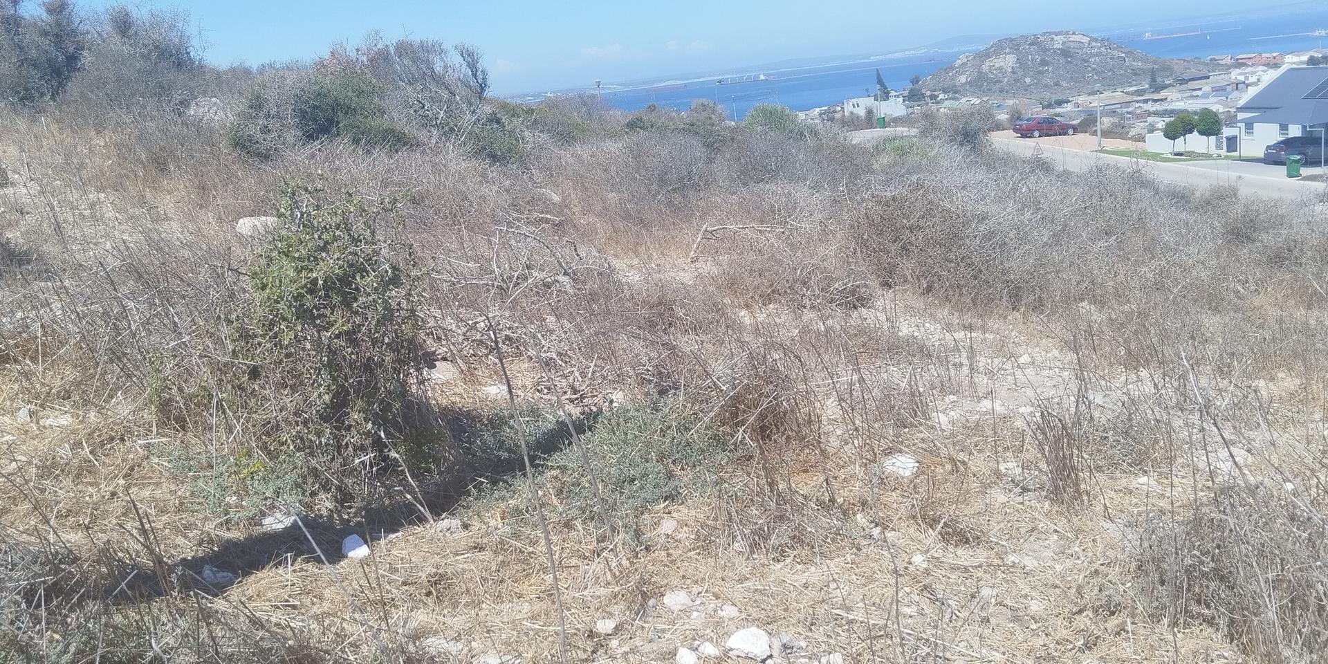 Image 2 of 6