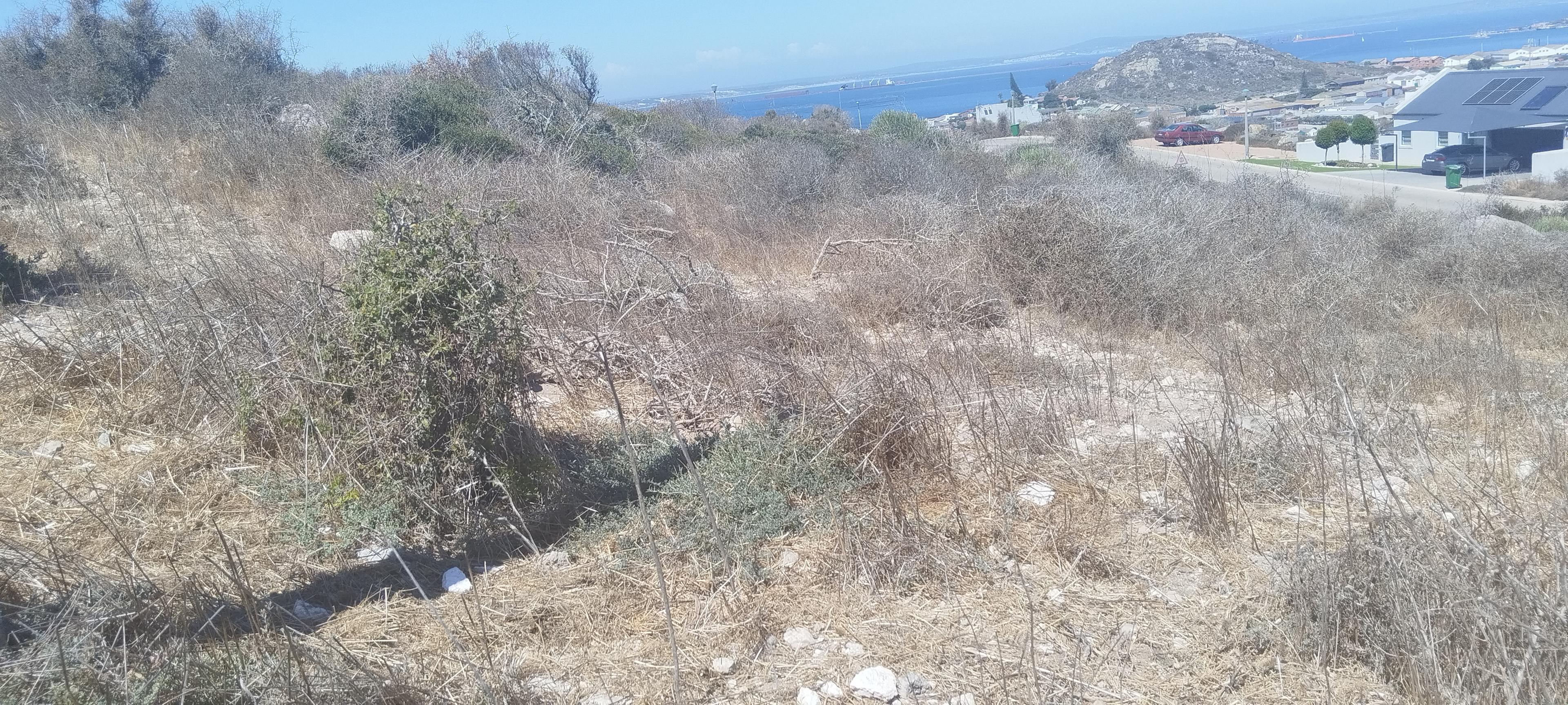 Image 2 of 6