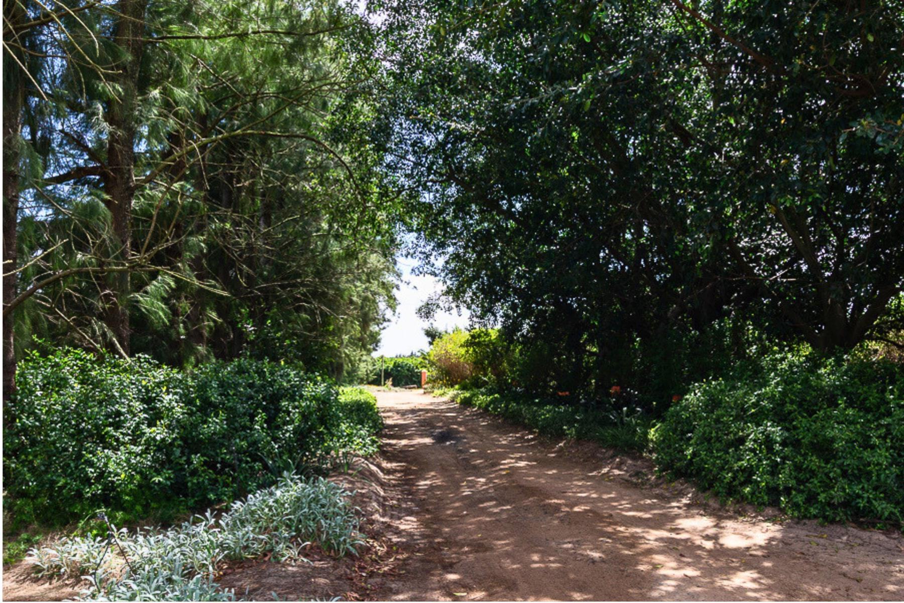 Image 31