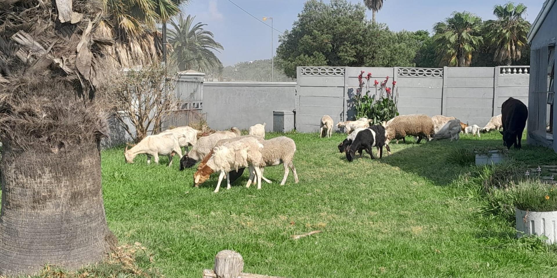 Image 1 of 6