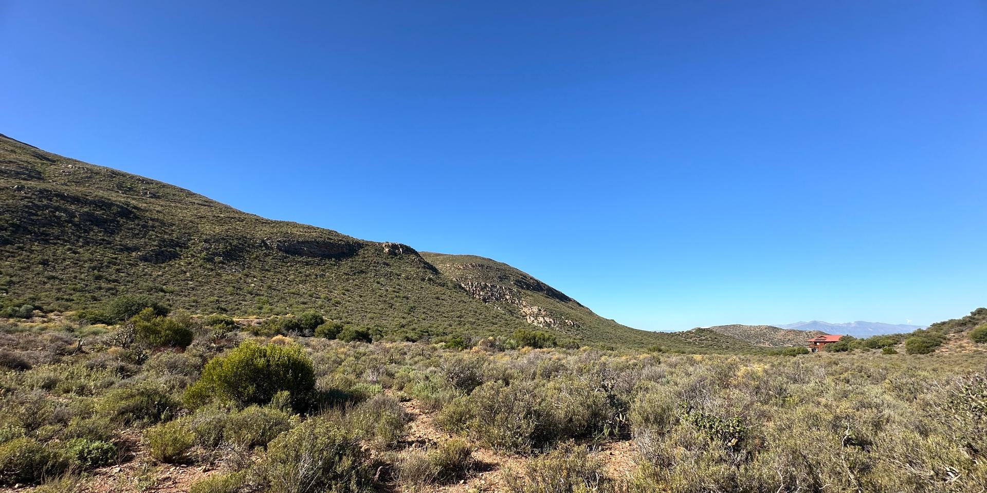 Image 5 of 6