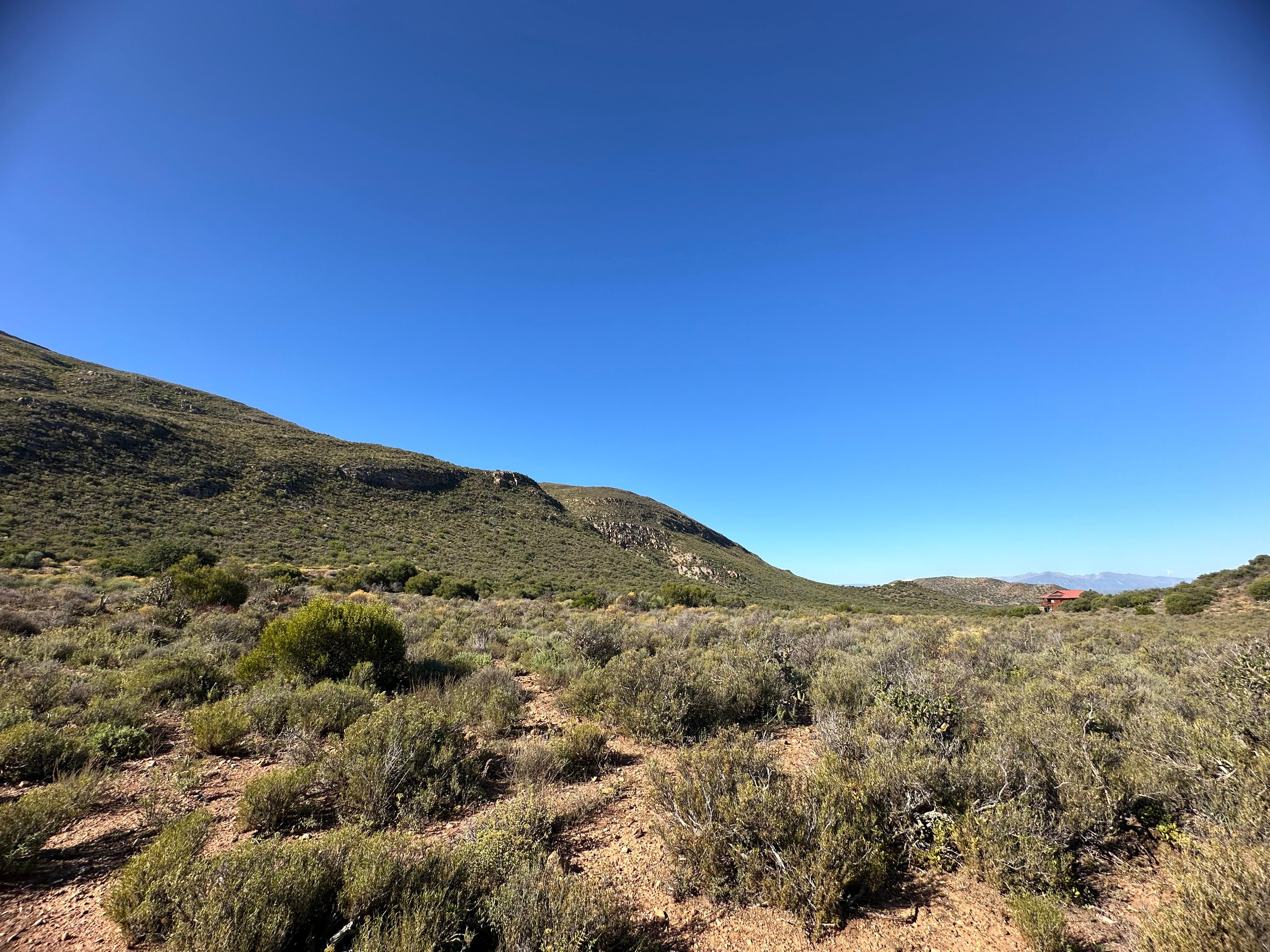 Image 5 of 6