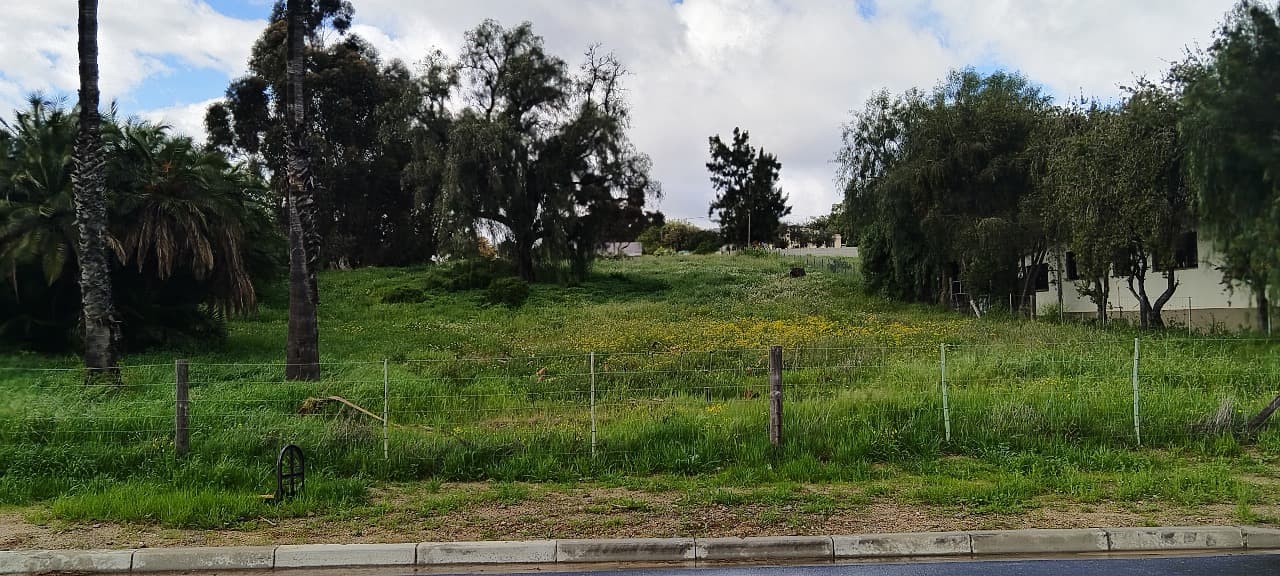Image 6