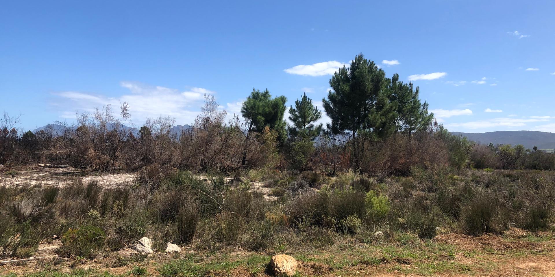 Image 5 of 6