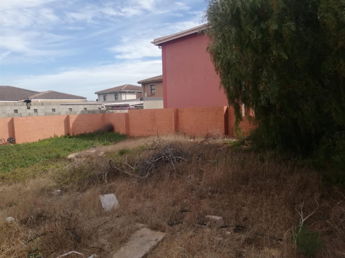 Image 10