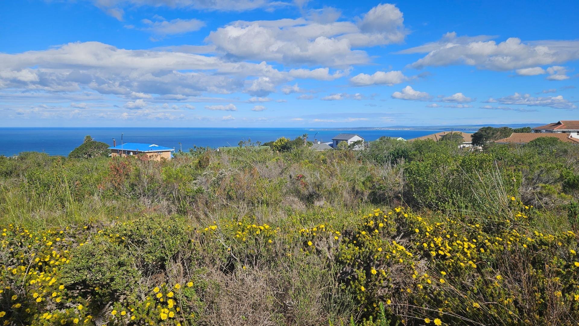 Image 2 of 6