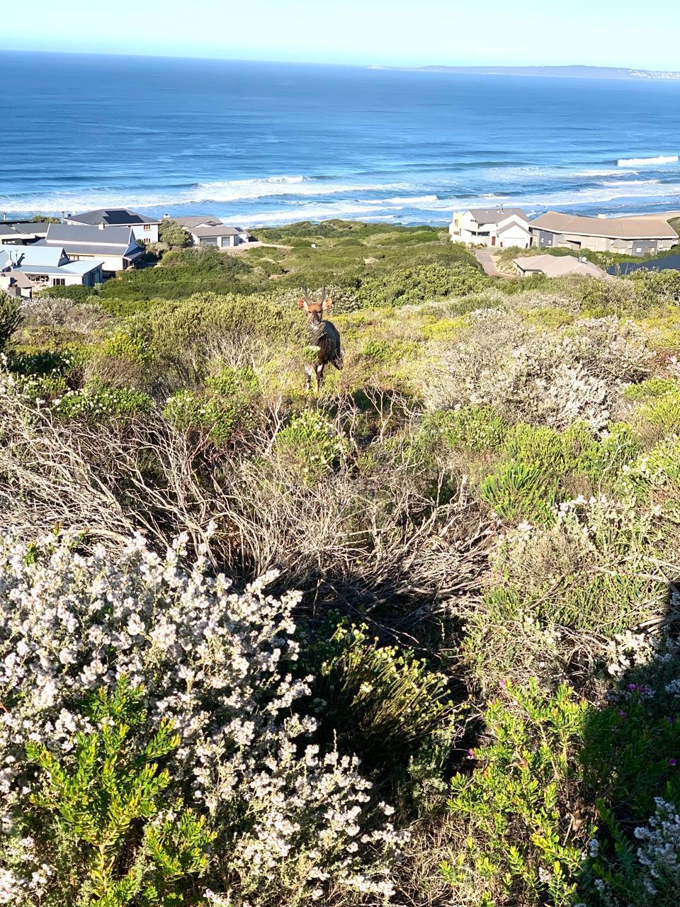 Image 4 of 6