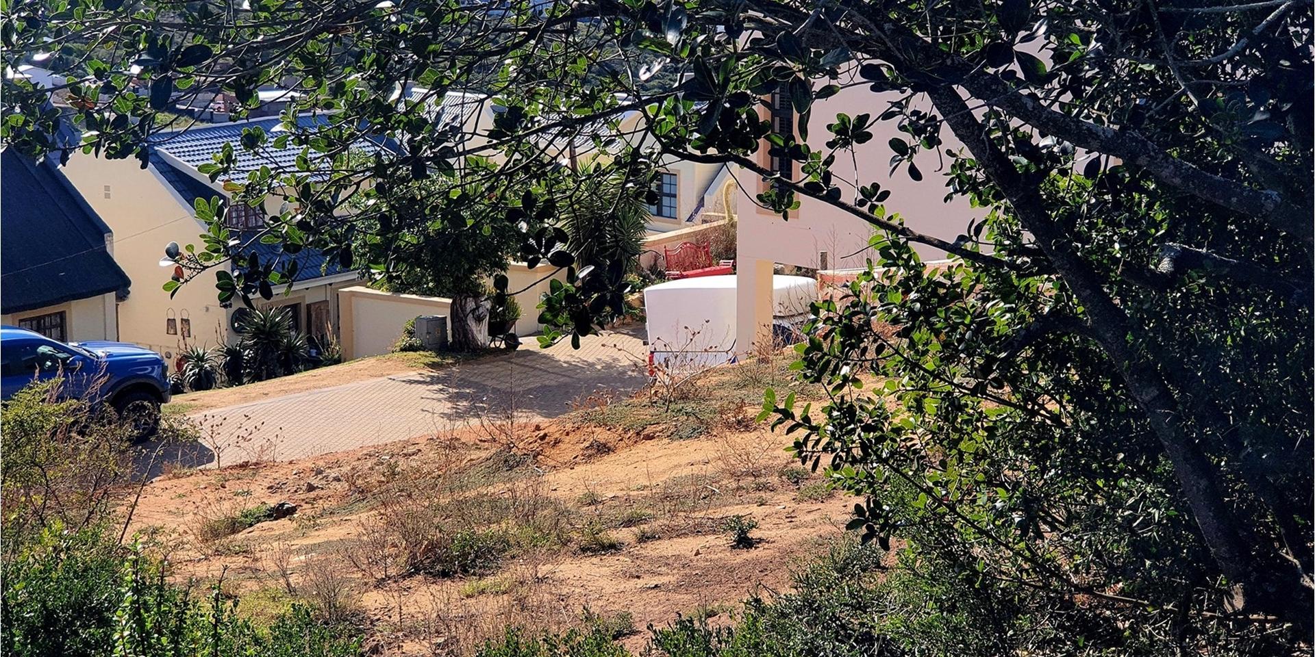 Image 4 of 6