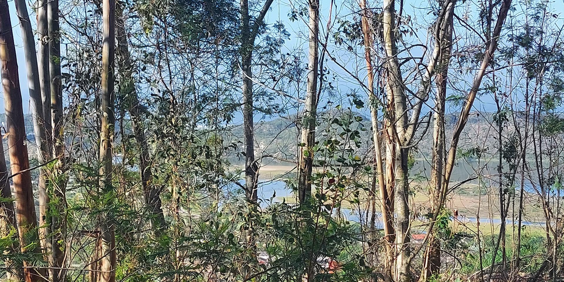 Image 2 of 6