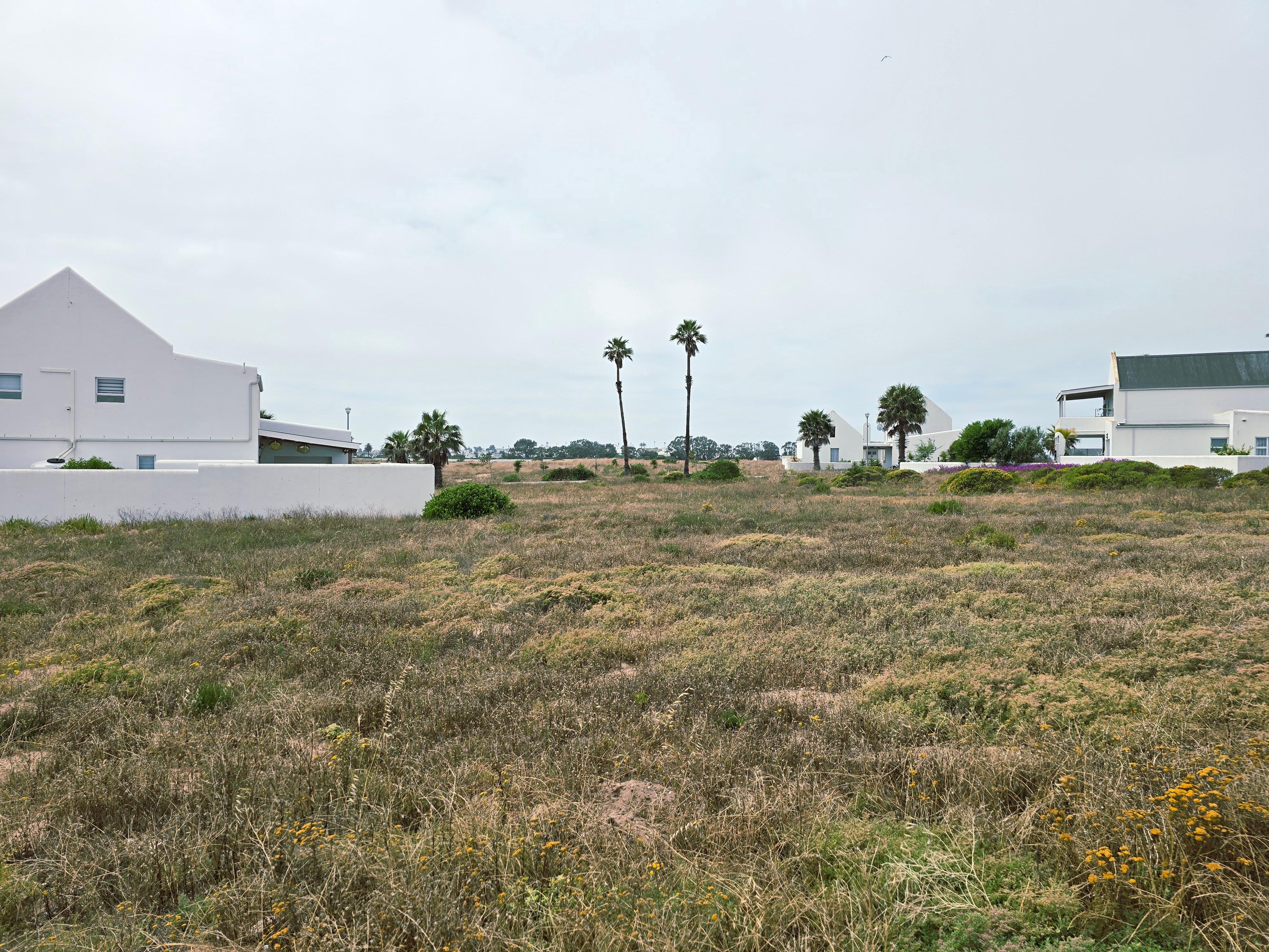 Image 3 of 6