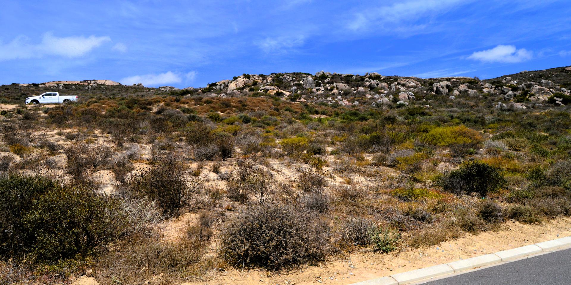Image 3 of 6