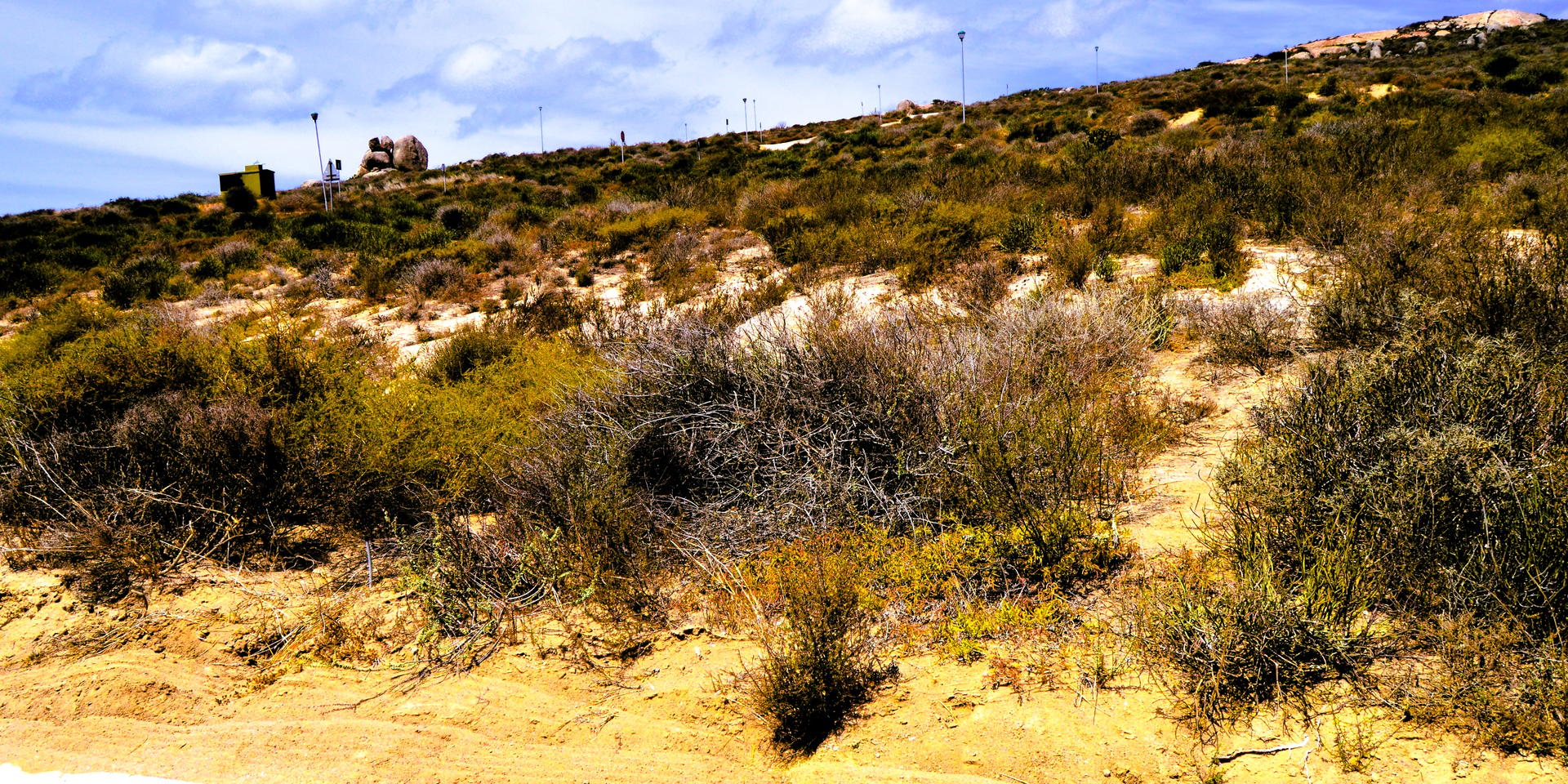 Image 2 of 6