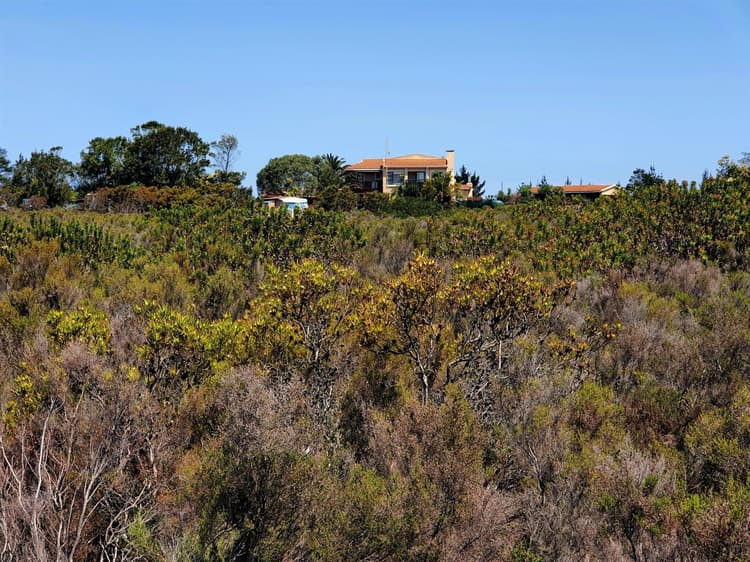 Main property image