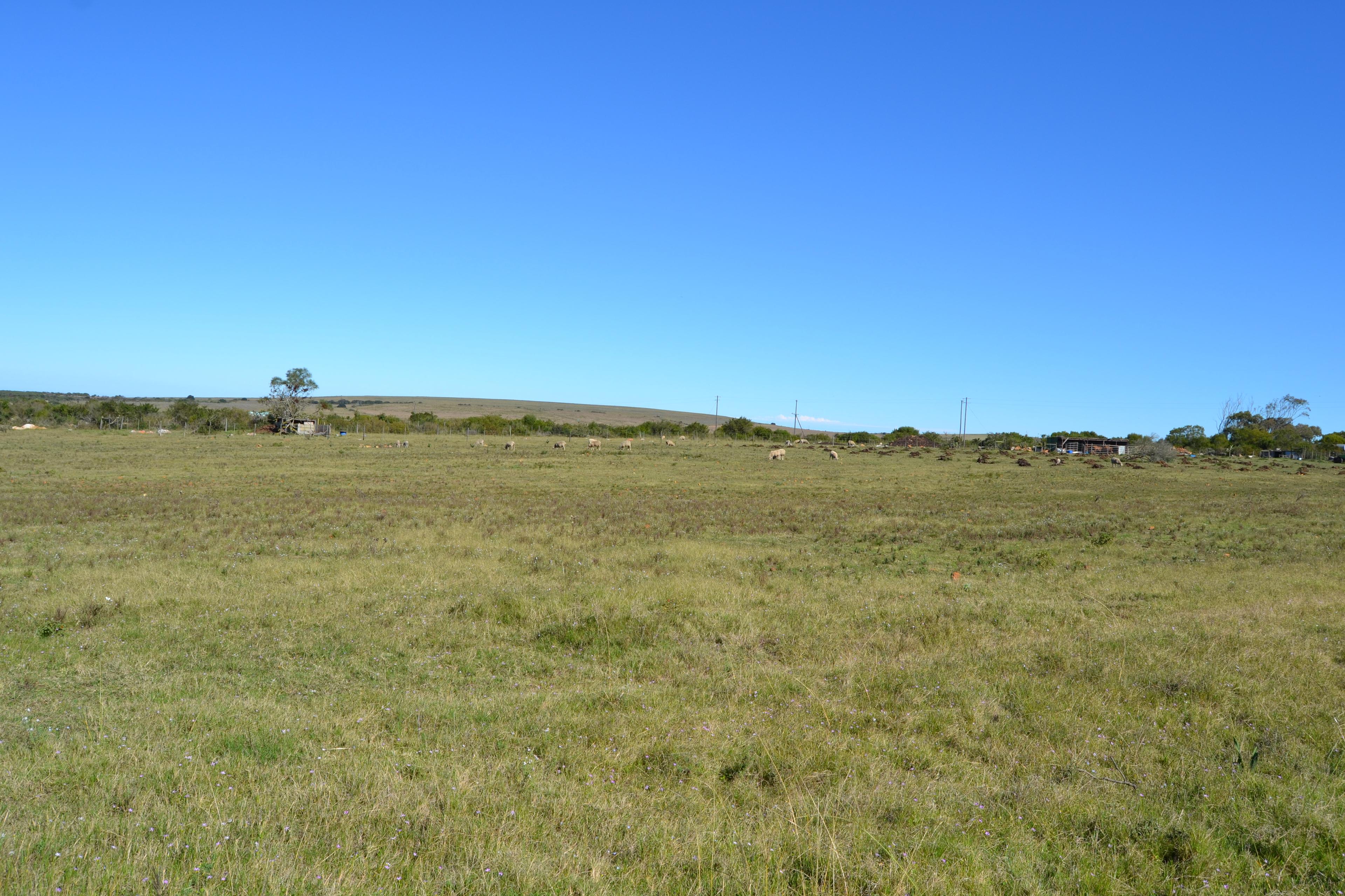 Image 29