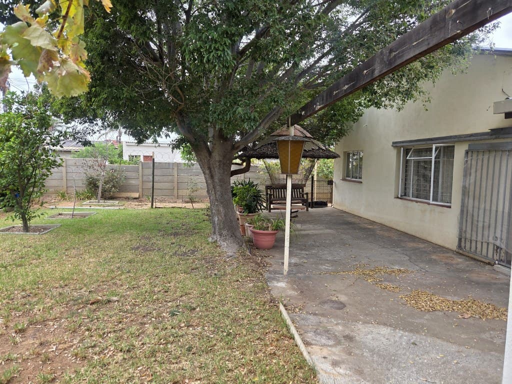 Image 19