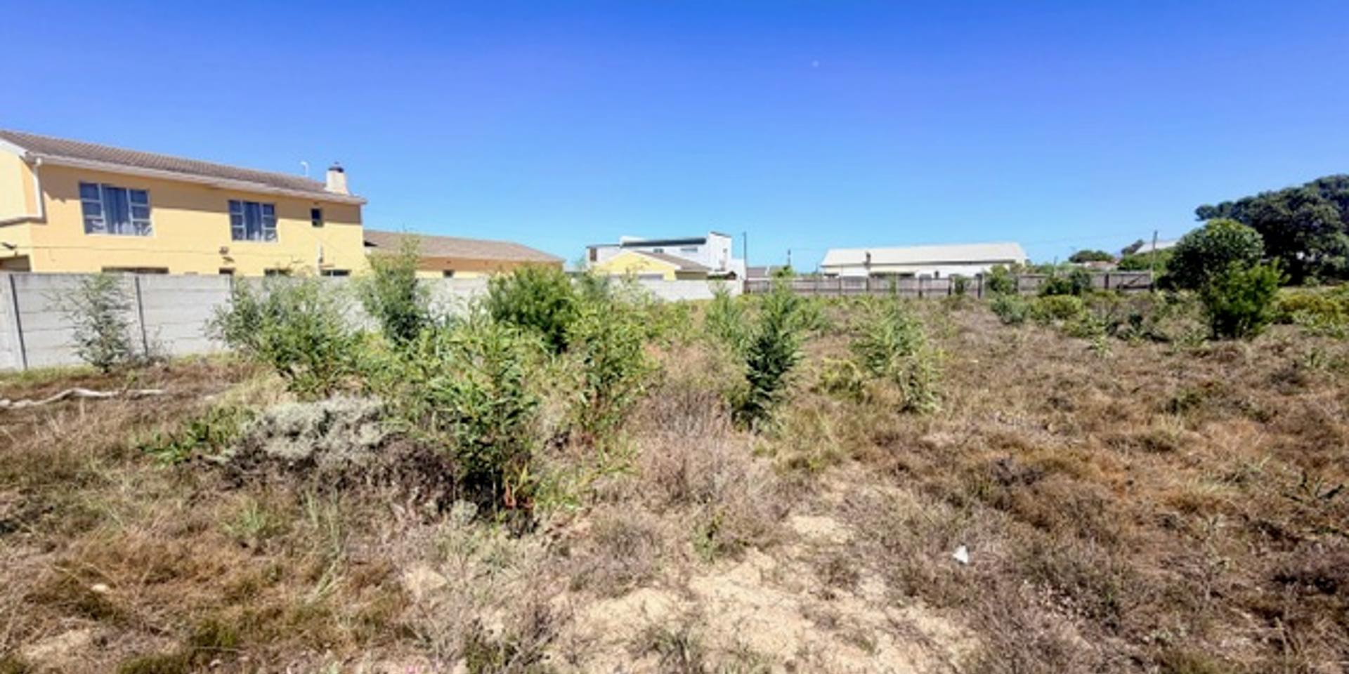 Image 5 of 6