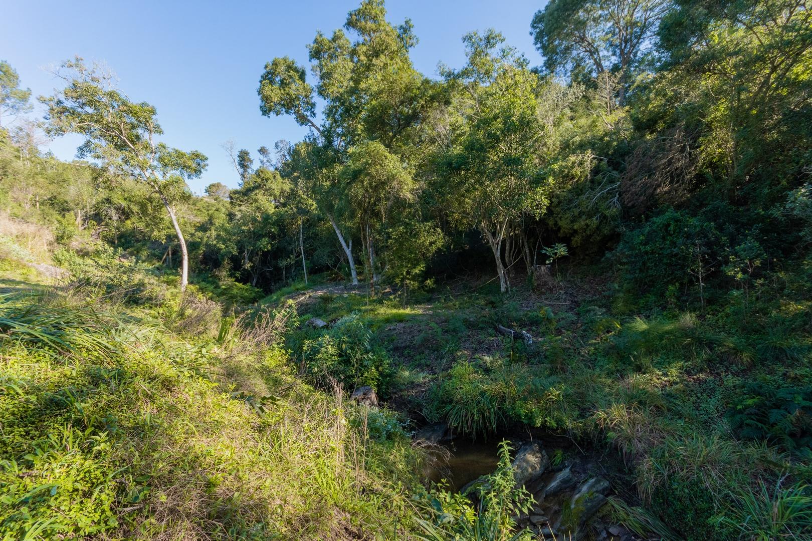Image 14