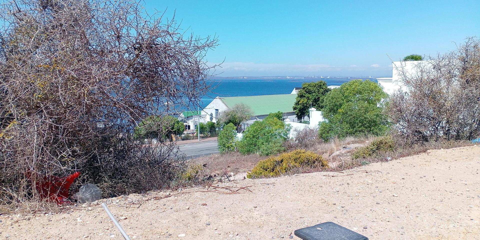 Image 4 of 6