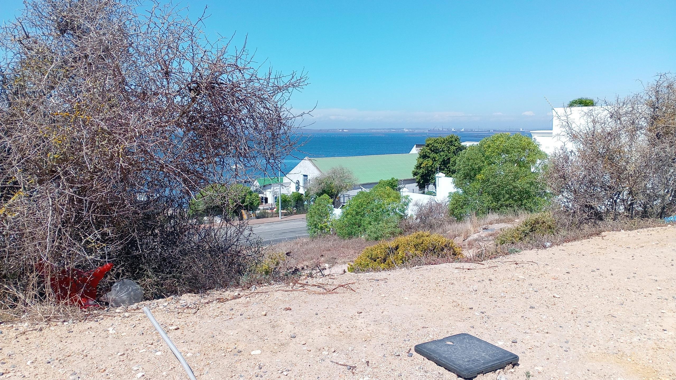 Image 4 of 6